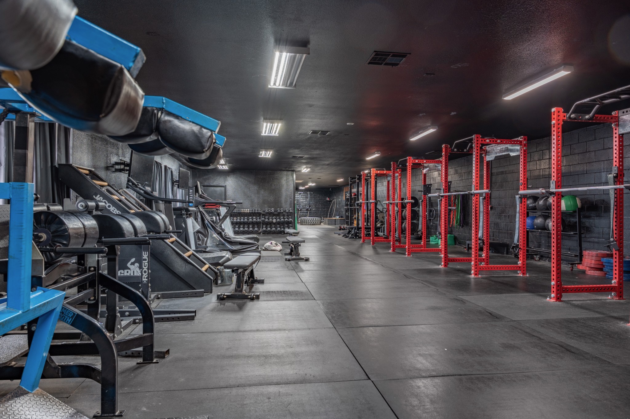 Gym Action